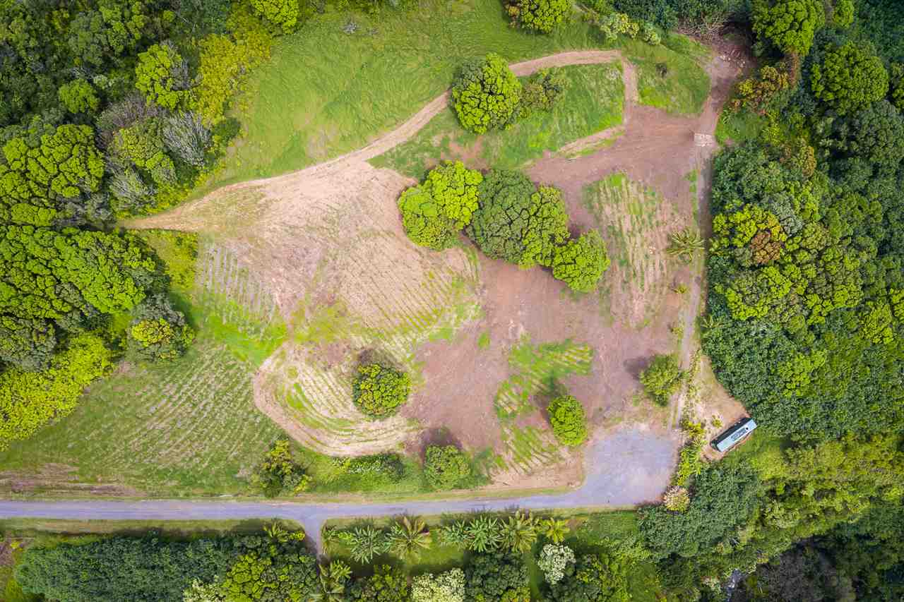 363 Hanauana Road, Unit 2 Haiku, HI 96708 - Photo 9 of 23 an aerial view of a house with a yard and large trees