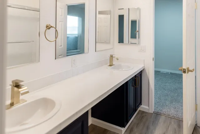 a bathroom with a sink and a mirror