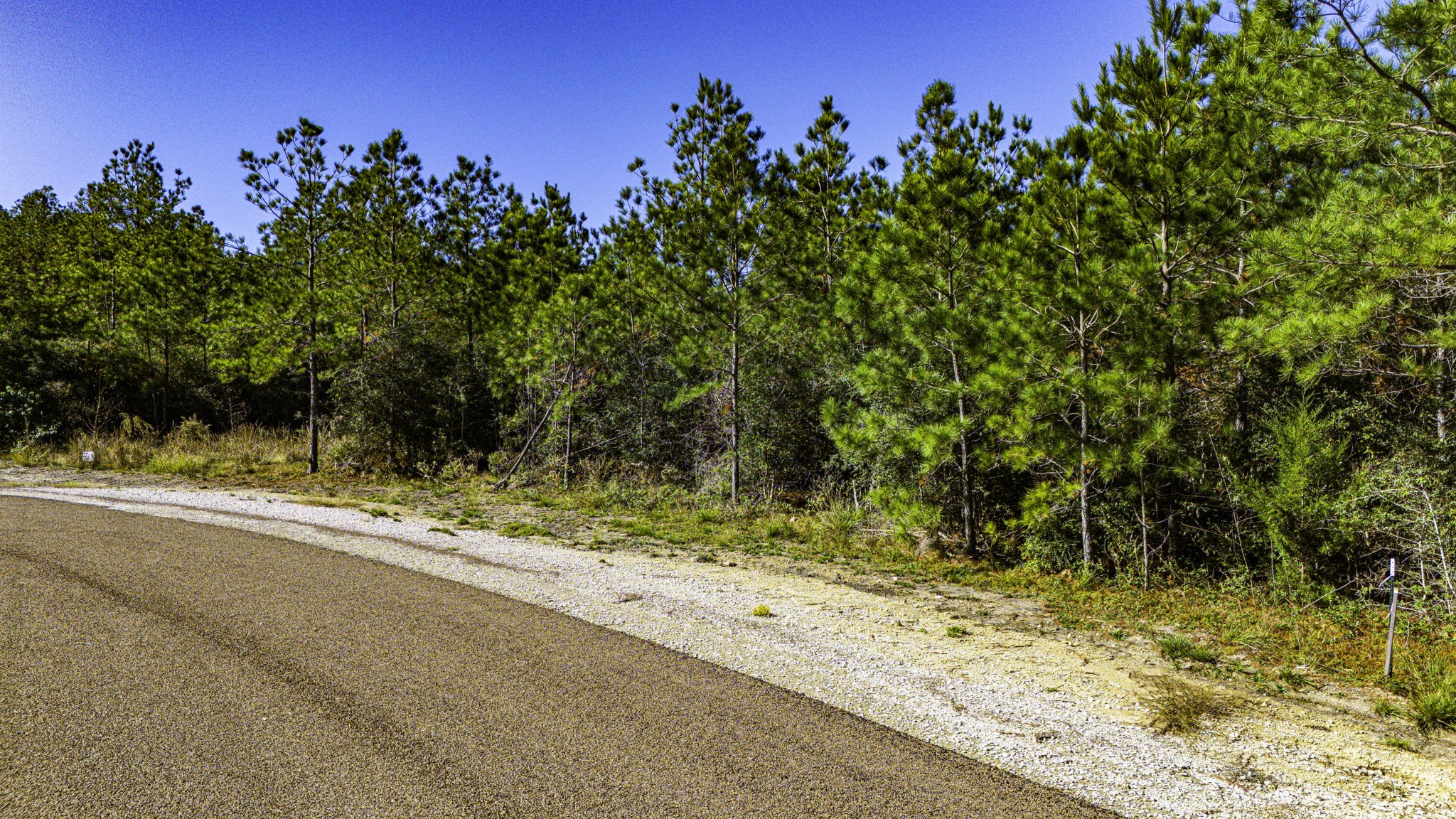 14 Magnolia Ranch Road Onalaska, TX 77360 - Photo 6 of 14