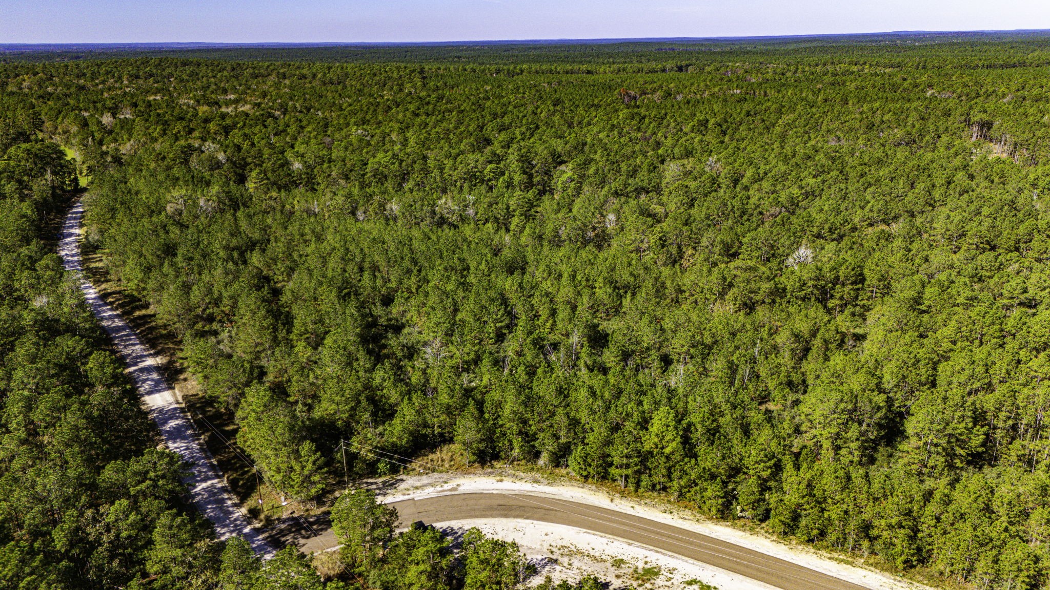 14 Magnolia Ranch Road Onalaska, TX 77360 - Photo 8 of 14