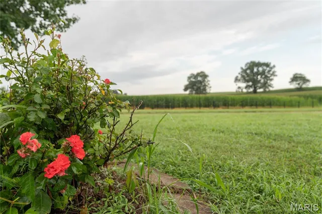 $1,750,000 | 15877 Highway M Bloomfield Mo 63825, Bloomfield, MO 63825