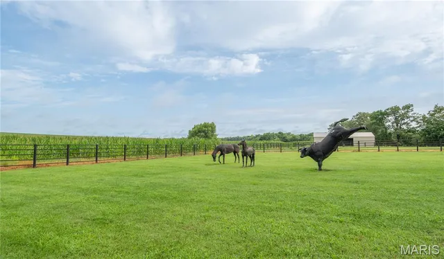 $1,750,000 | 15877 Highway M Bloomfield Mo 63825, Bloomfield, MO 63825