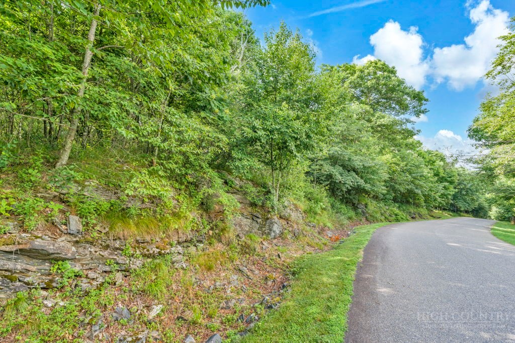 Lot 17 Crown Point Road West Jefferson, NC 28694 - Photo 10 of 21