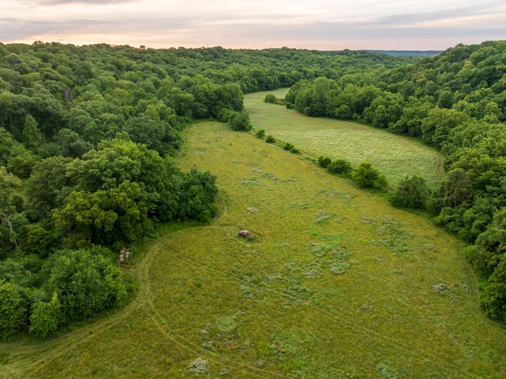 13277 Norris Road Rayville, MO 64084 - Photo 4 of 55