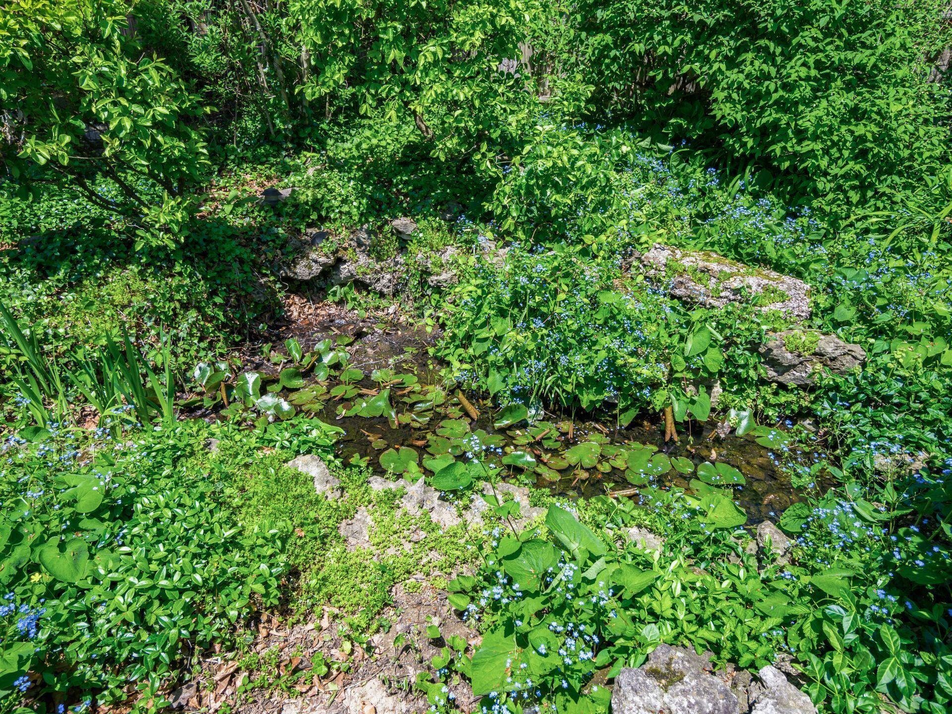 1974 Chatfield Road Columbus, OH 43221 - Photo 41 of 48 Koi Pond