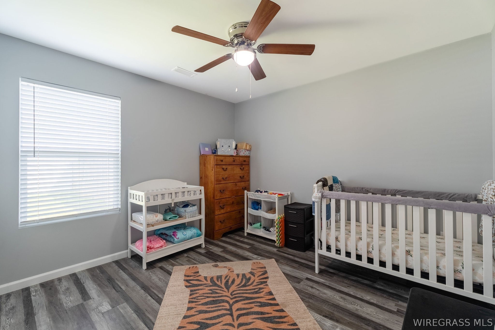 192 Northbrook Slocomb, AL 36375 - Photo 11 of 21 Gallery Image 11