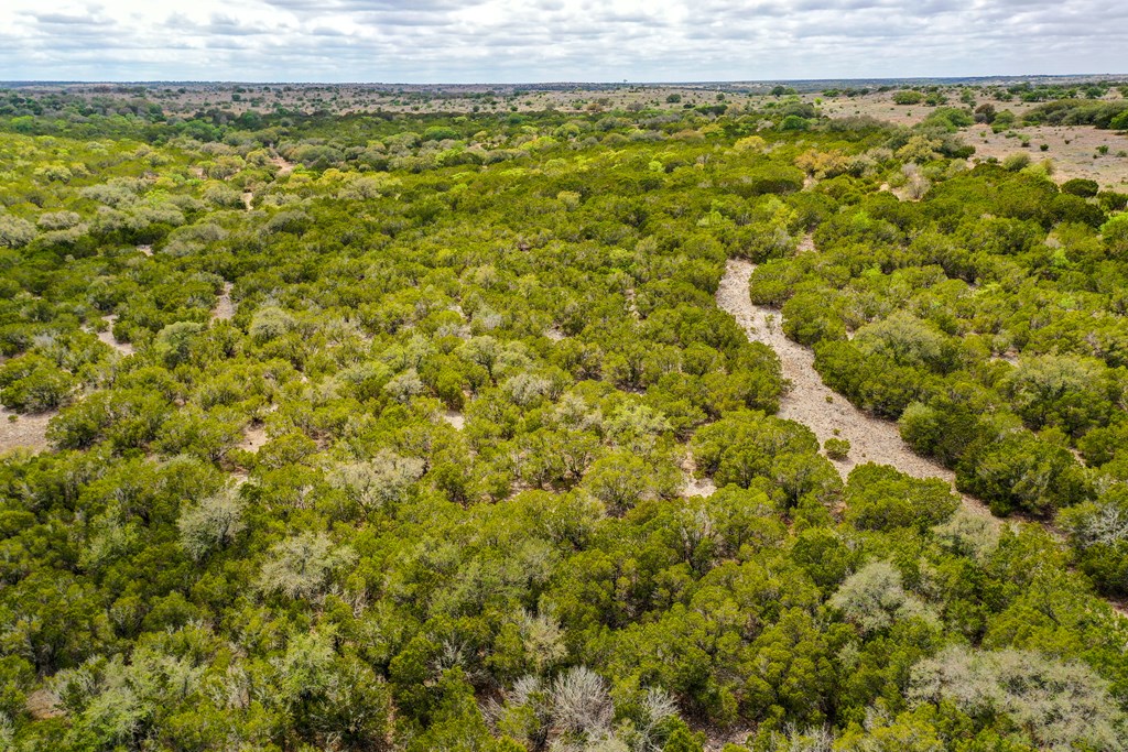 0 Rocky Top Road Southwest, Unit 6 Hunt, TX 78024 - Photo 6 of 17