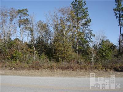 1 Sandy Bend Road Rocky Point, NC 28457 - Photo 1 of 1 Primary Photo