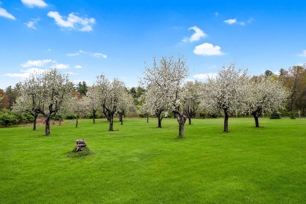 382 Chicopee Row Groton, MA 01450 - Photo 36 of 42