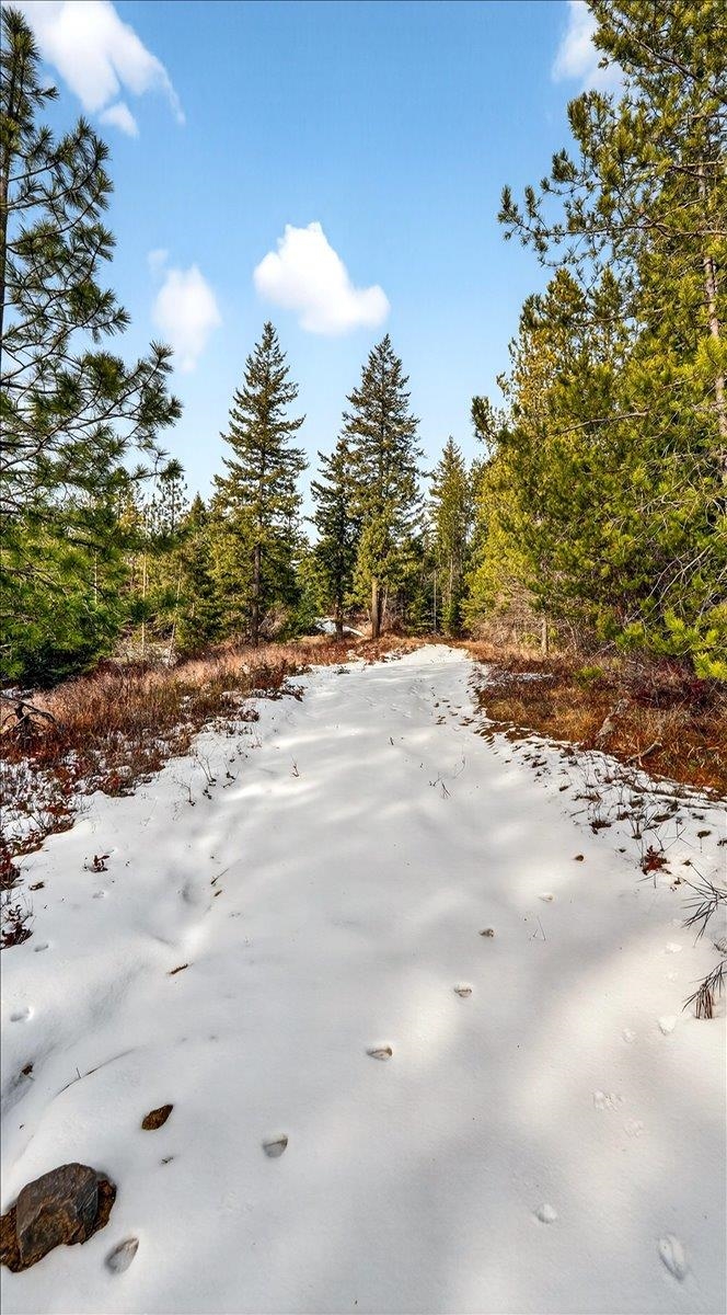 4467 F Williamson Road Clayton, WA 99110 - Photo 17 of 50