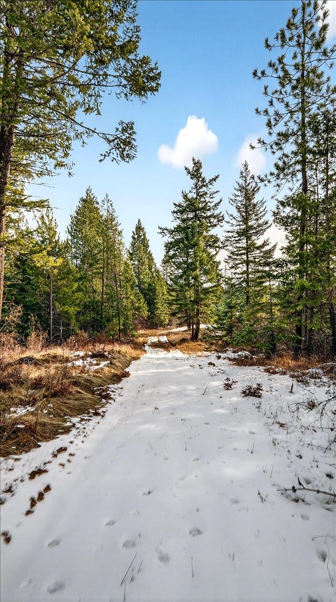 4467 F Williamson Road Clayton, WA 99110 - Photo 18 of 50