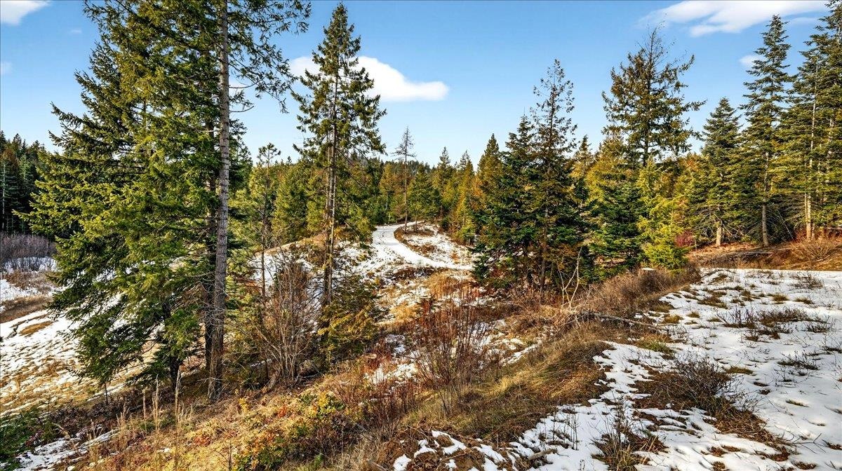 4467 F Williamson Road Clayton, WA 99110 - Photo 19 of 50