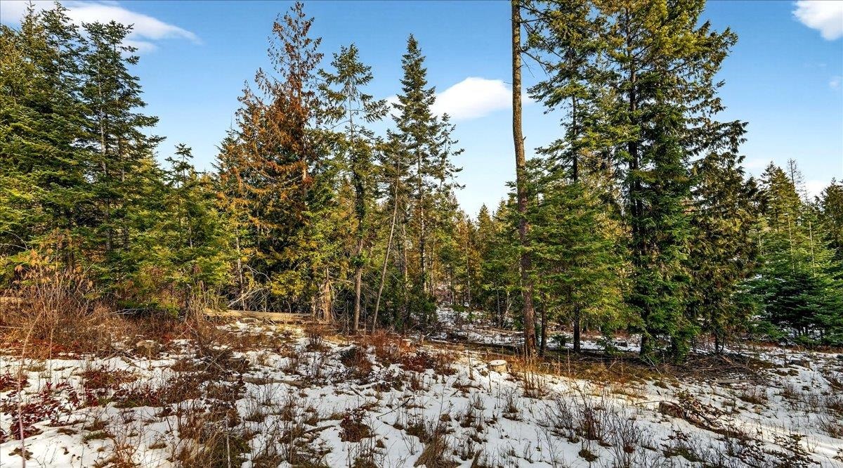 4467 F Williamson Road Clayton, WA 99110 - Photo 20 of 50