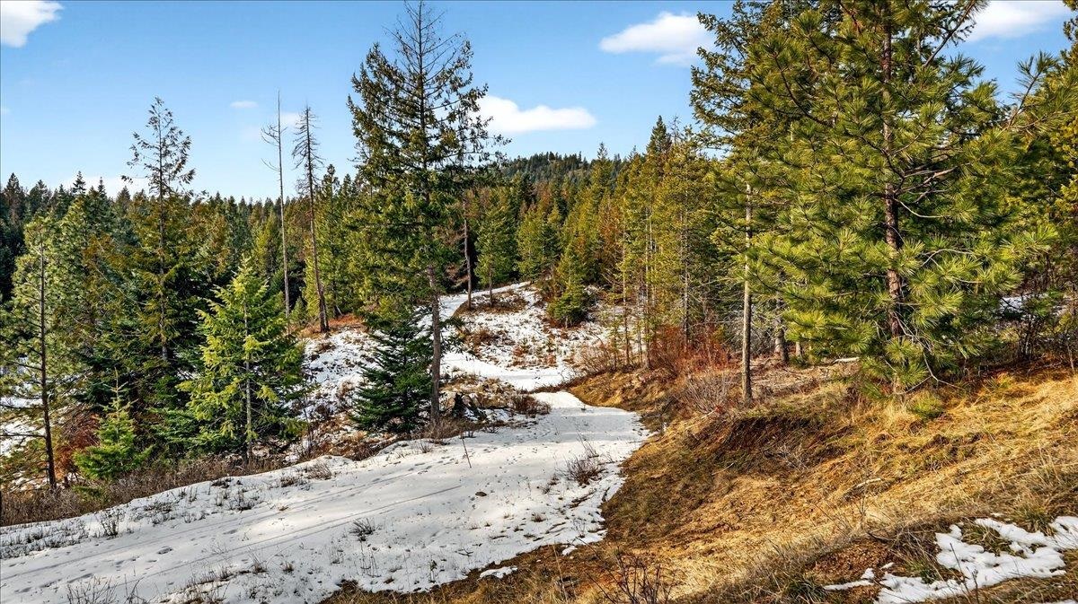 4467 F Williamson Road Clayton, WA 99110 - Photo 21 of 50