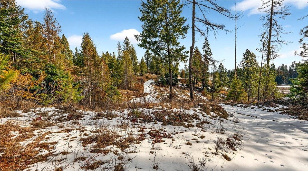 4467 F Williamson Road Clayton, WA 99110 - Photo 22 of 50