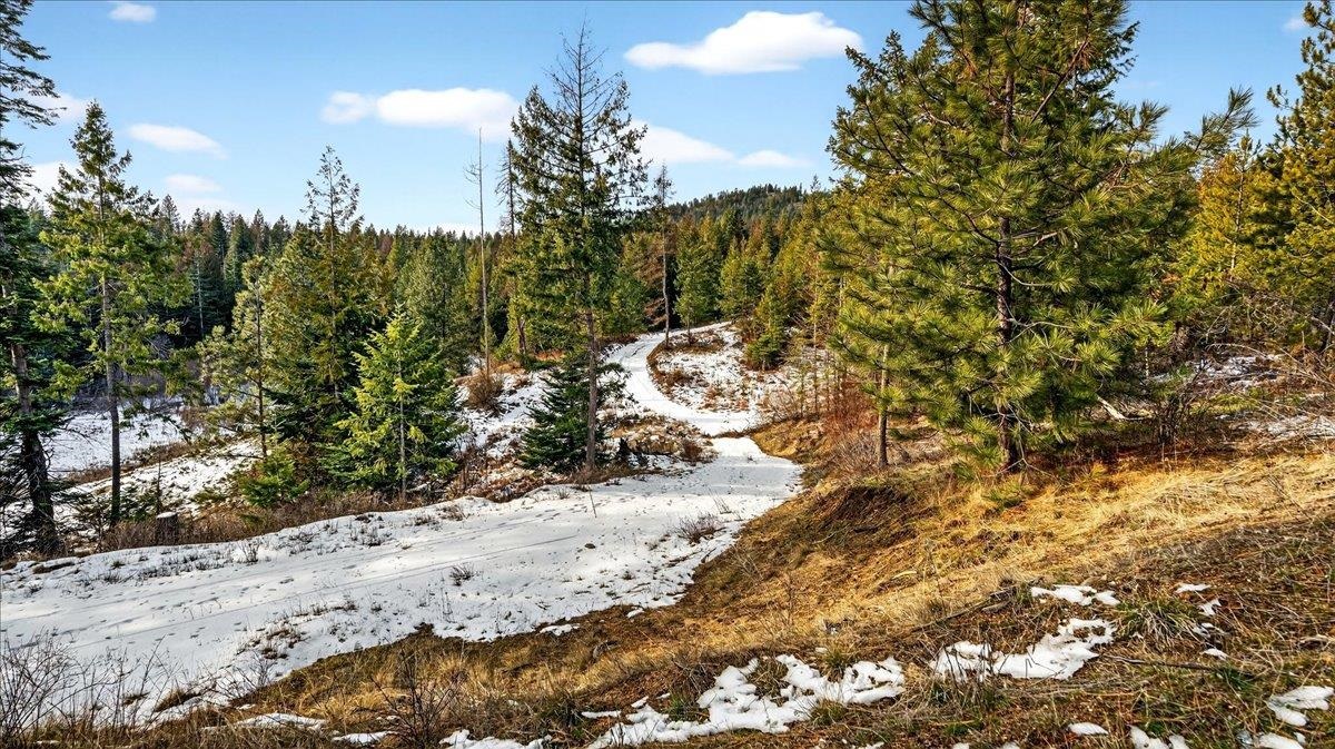 4467 F Williamson Road Clayton, WA 99110 - Photo 23 of 50