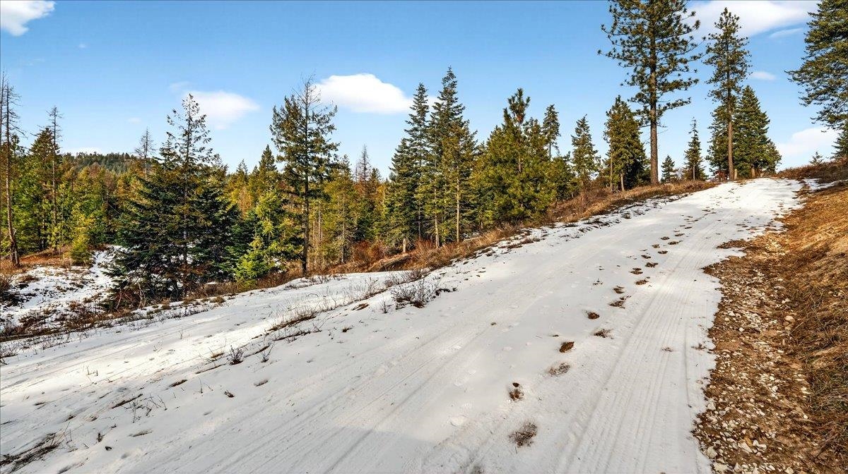 4467 F Williamson Road Clayton, WA 99110 - Photo 24 of 50