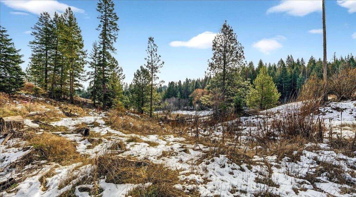 4467 F Williamson Road Clayton, WA 99110 - Photo 25 of 50