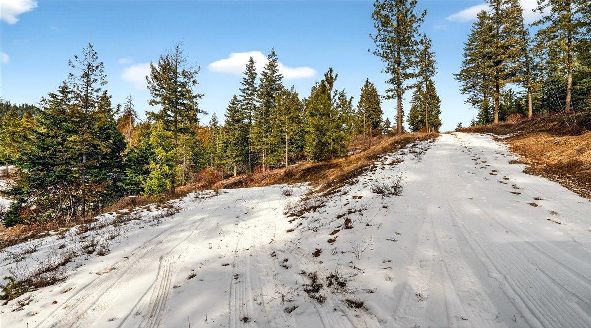 4467 F Williamson Road Clayton, WA 99110 - Photo 26 of 50