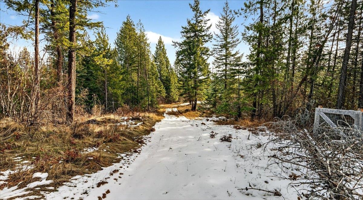 4467 F Williamson Road Clayton, WA 99110 - Photo 27 of 50