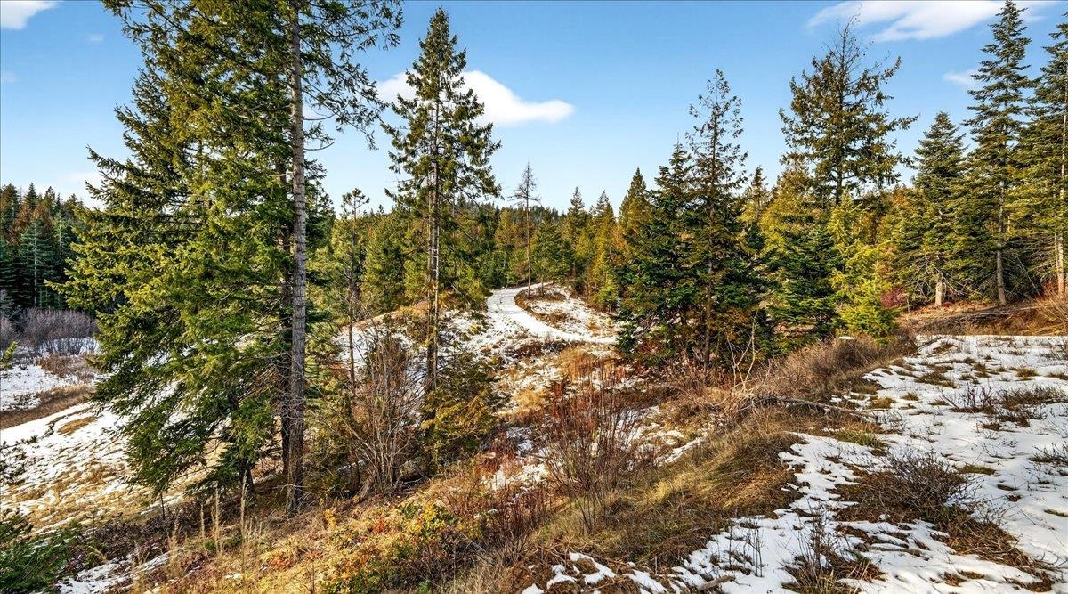 4467 F Williamson Road Clayton, WA 99110 - Photo 28 of 50