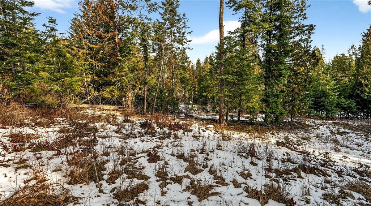 4467 F Williamson Road Clayton, WA 99110 - Photo 29 of 50