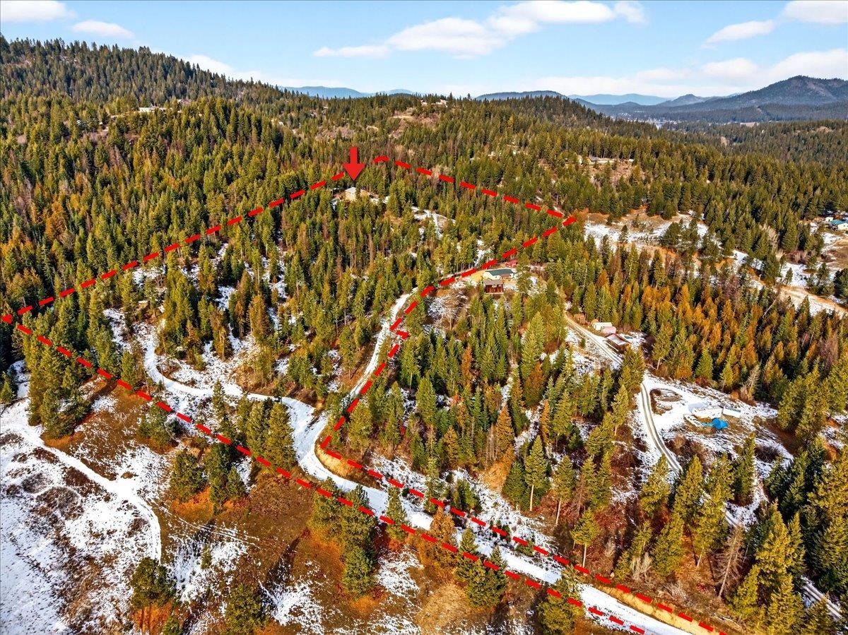 4467 F Williamson Road Clayton, WA 99110 - Photo 3 of 50