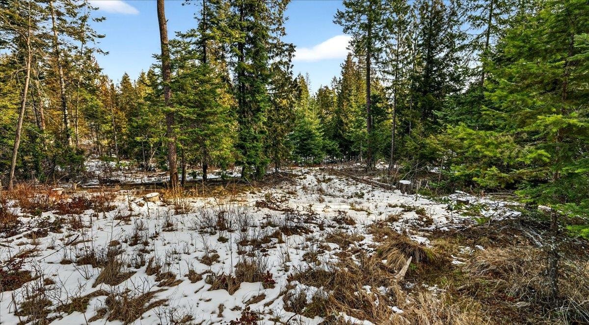 4467 F Williamson Road Clayton, WA 99110 - Photo 32 of 50