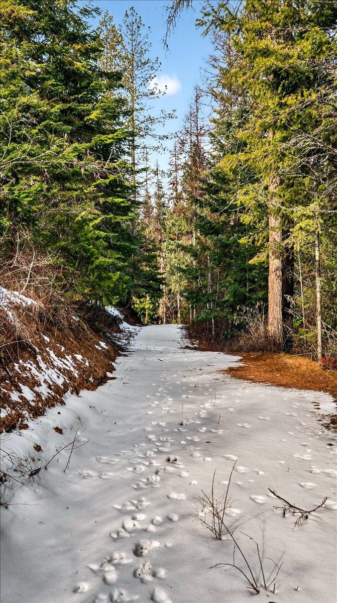 4467 F Williamson Road Clayton, WA 99110 - Photo 37 of 50