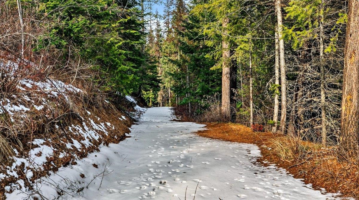 4467 F Williamson Road Clayton, WA 99110 - Photo 39 of 50