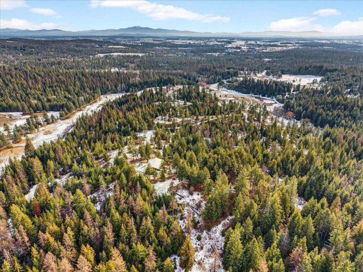 4467 F Williamson Road Clayton, WA 99110 - Photo 40 of 50