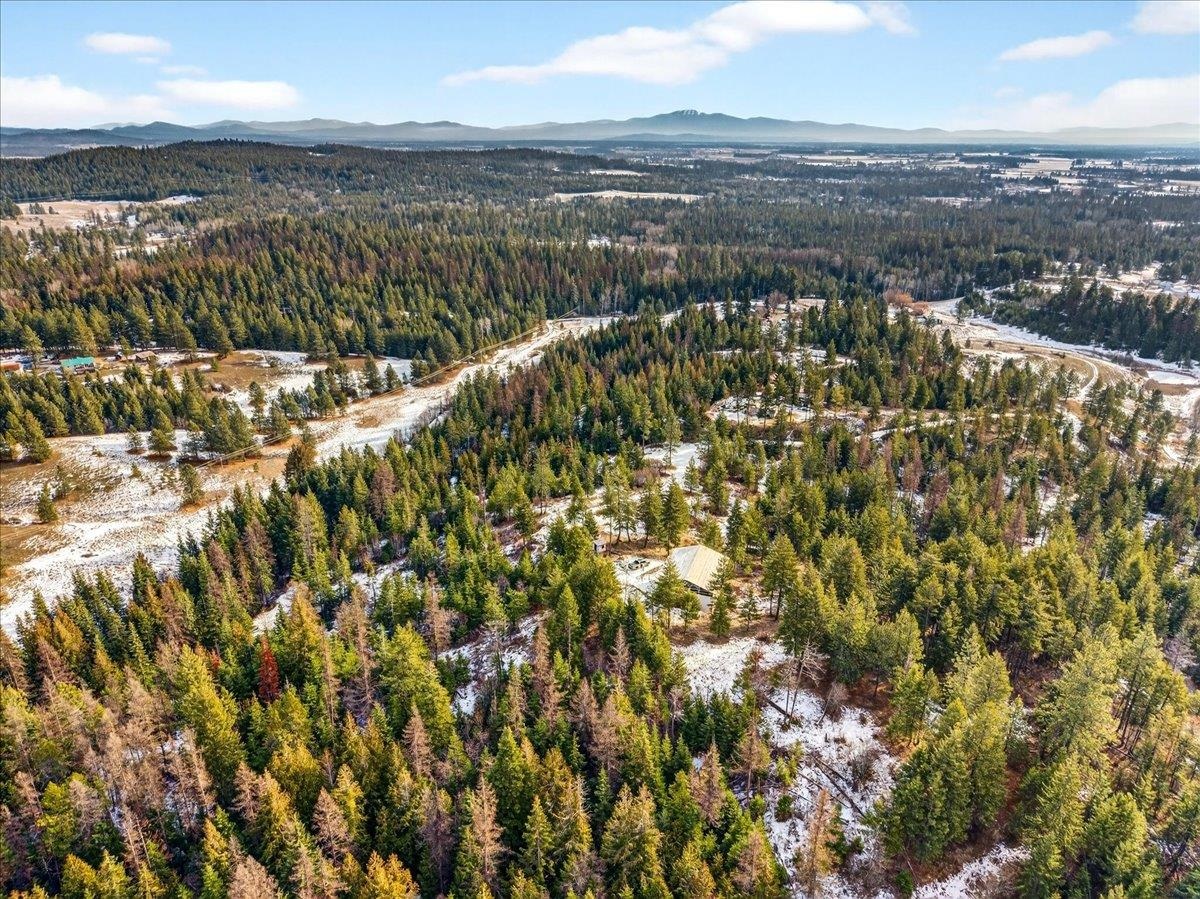 4467 F Williamson Road Clayton, WA 99110 - Photo 41 of 50