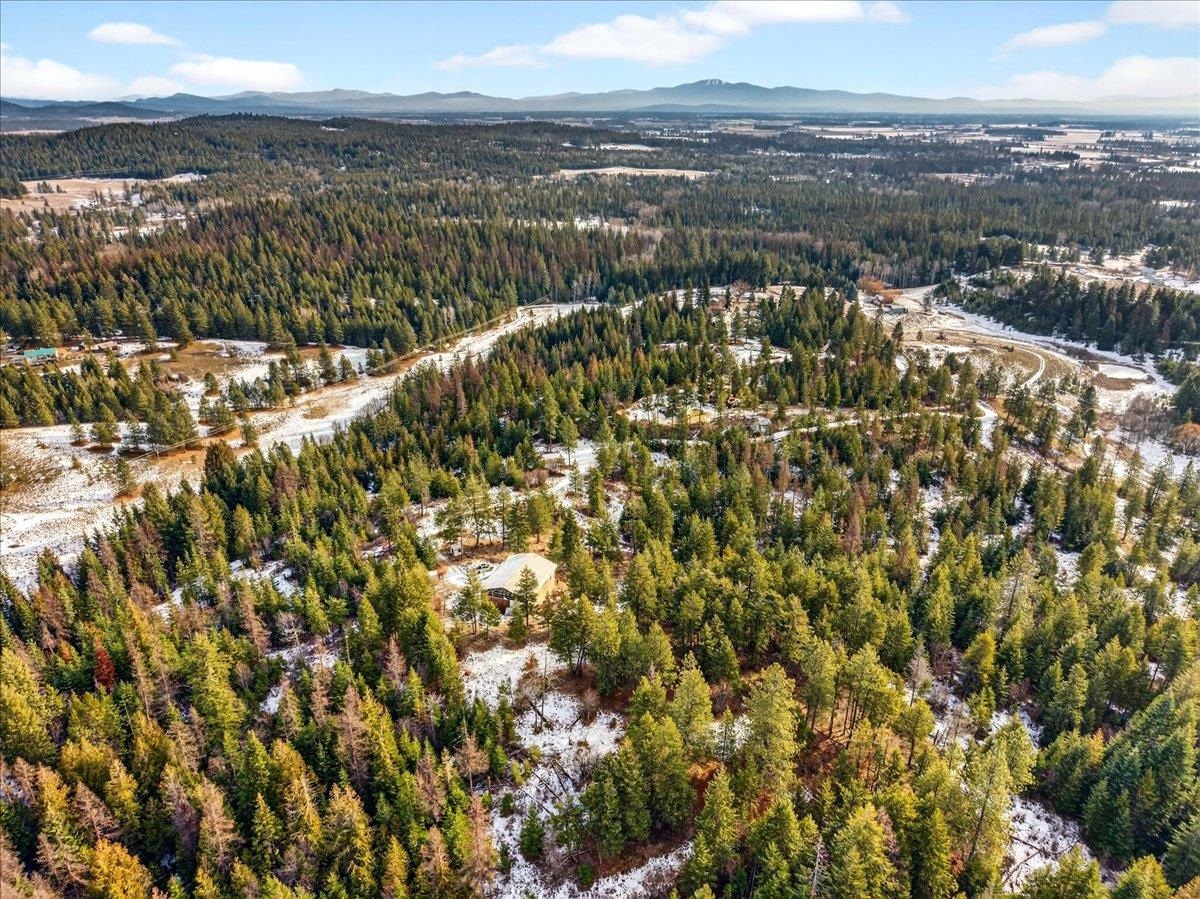 4467 F Williamson Road Clayton, WA 99110 - Photo 42 of 50