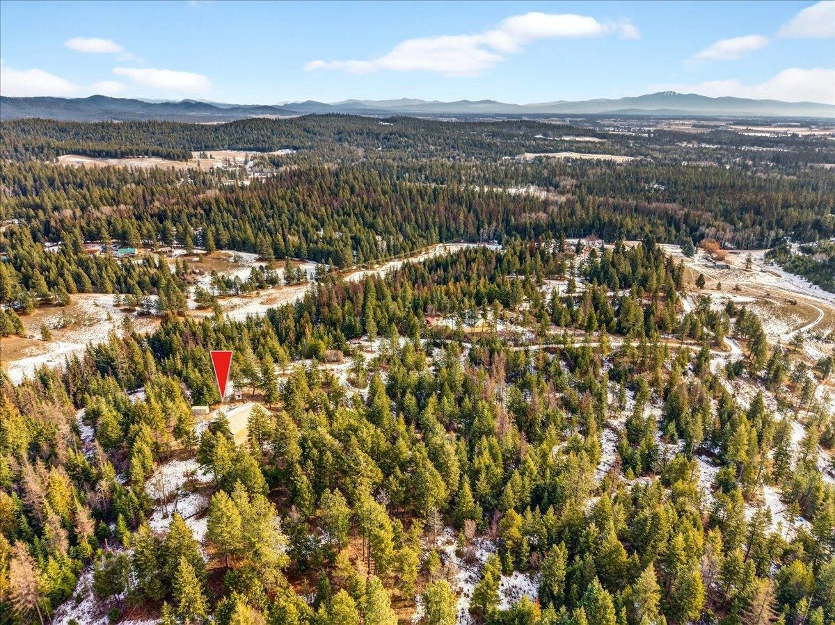 4467 F Williamson Road Clayton, WA 99110 - Photo 43 of 50