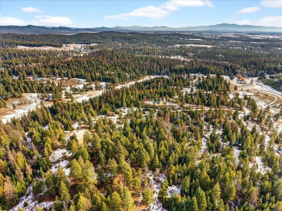 4467 F Williamson Road Clayton, WA 99110 - Photo 44 of 50