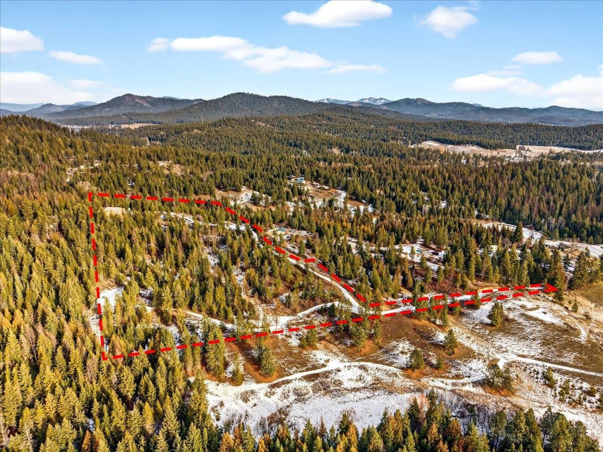 4467 F Williamson Road Clayton, WA 99110 - Photo 46 of 50