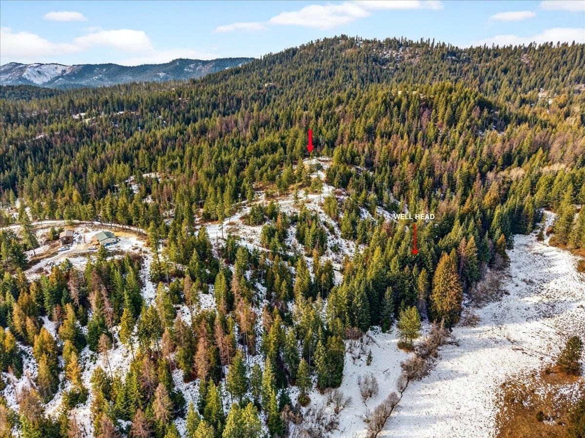 4467 F Williamson Road Clayton, WA 99110 - Photo 47 of 50