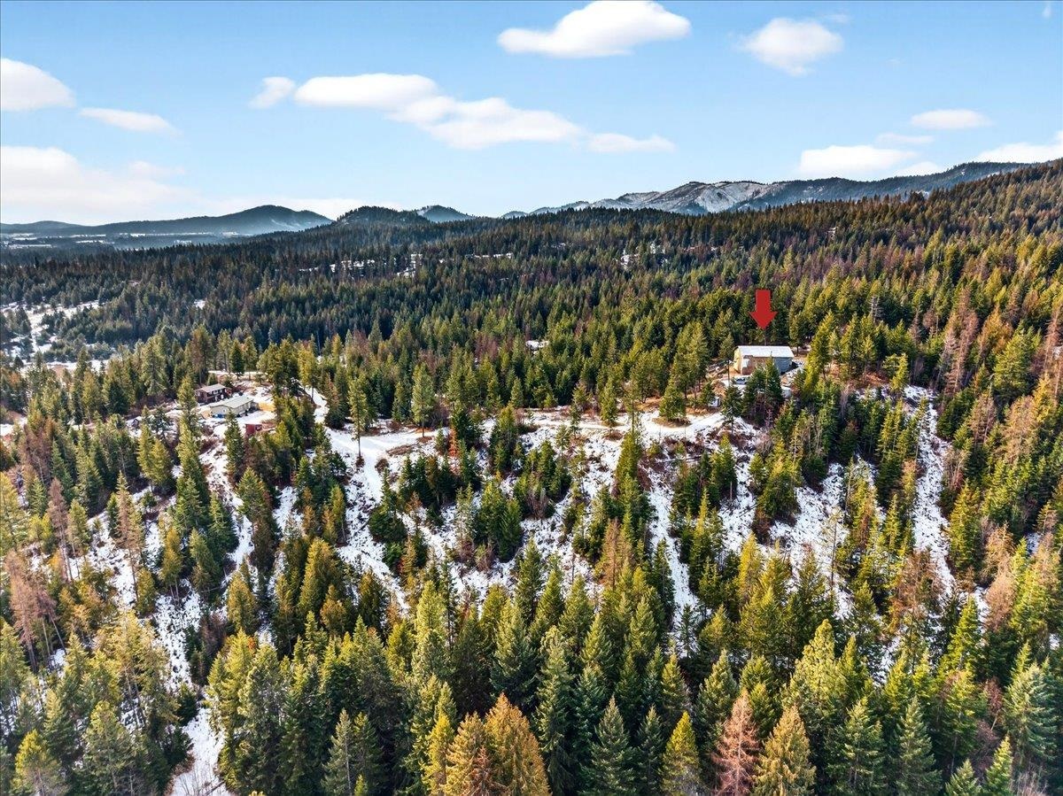 4467 F Williamson Road Clayton, WA 99110 - Photo 48 of 50