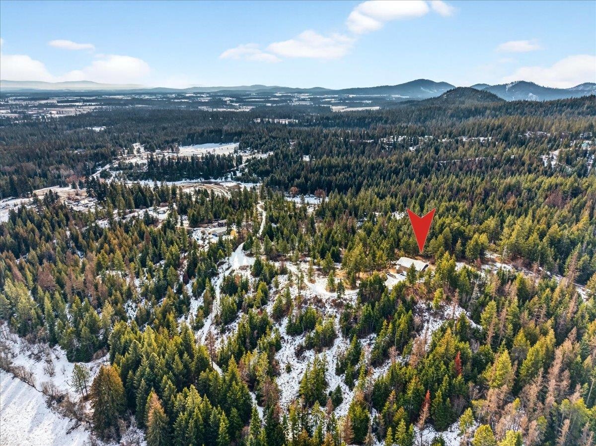 4467 F Williamson Road Clayton, WA 99110 - Photo 49 of 50