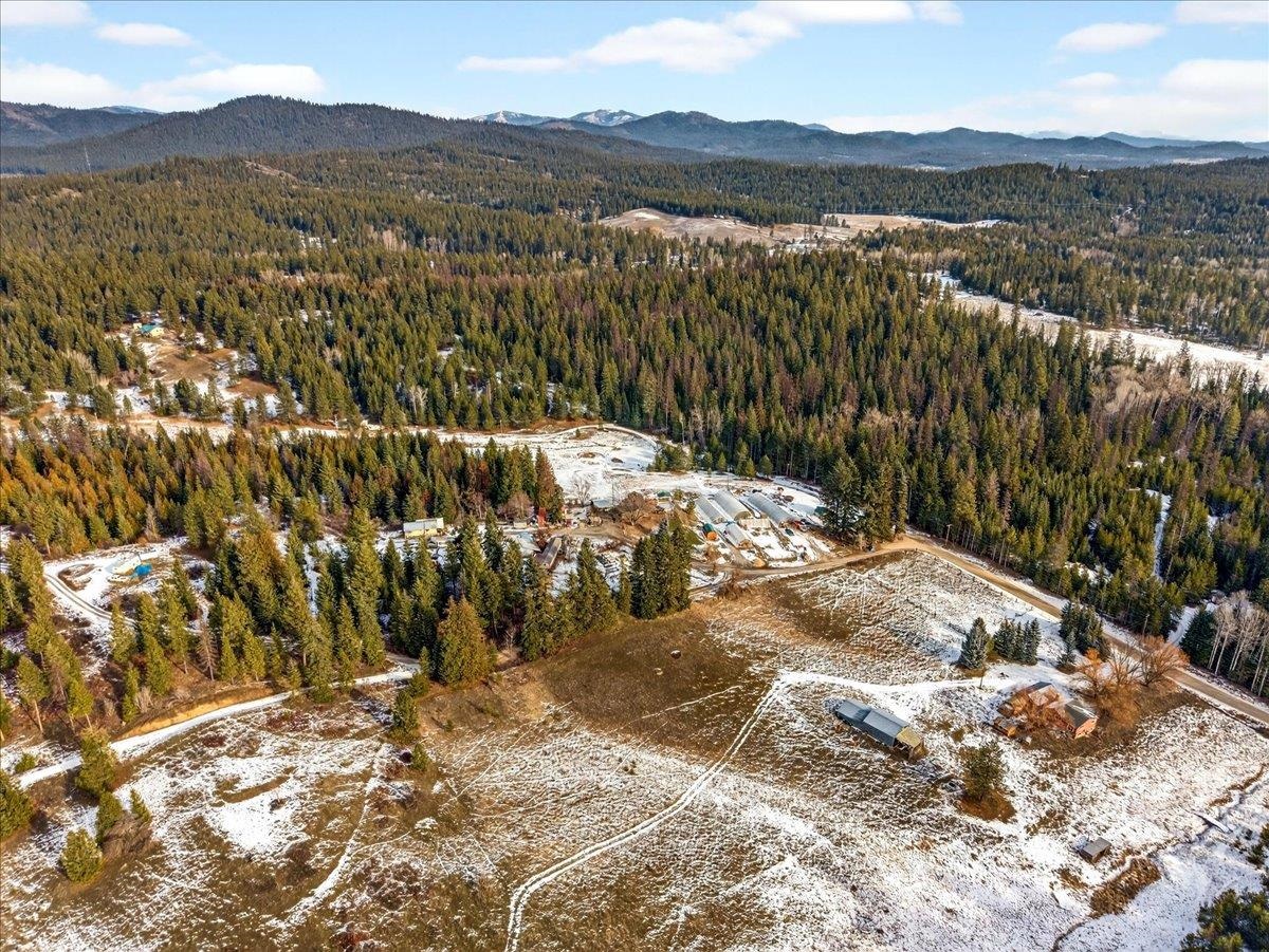 4467 F Williamson Road Clayton, WA 99110 - Photo 6 of 50