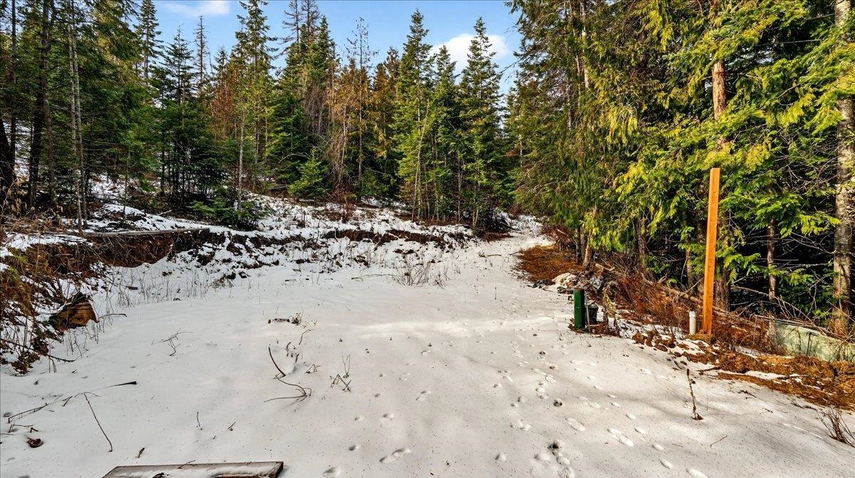 4467 F Williamson Road Clayton, WA 99110 - Photo 8 of 50