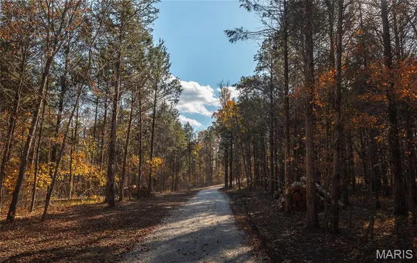 $89,900 | 0 Highway 21, Lesterville, MO 63654