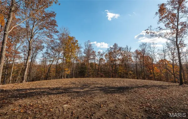 $89,900 | 0 Highway 21, Lesterville, MO 63654