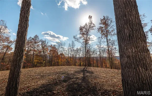 $89,900 | 0 Highway 21, Lesterville, MO 63654