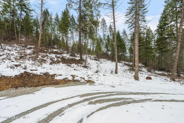 $325,000 | Lot 4 Settlers Lane, Cocolalla, ID 83813