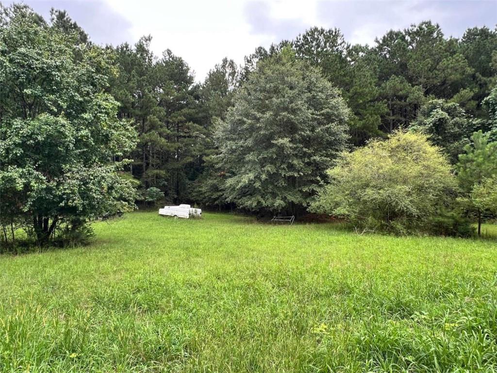 1383 Sims Road Southeast Statham, GA 30666 - Photo 5 of 9 a view of a green yard