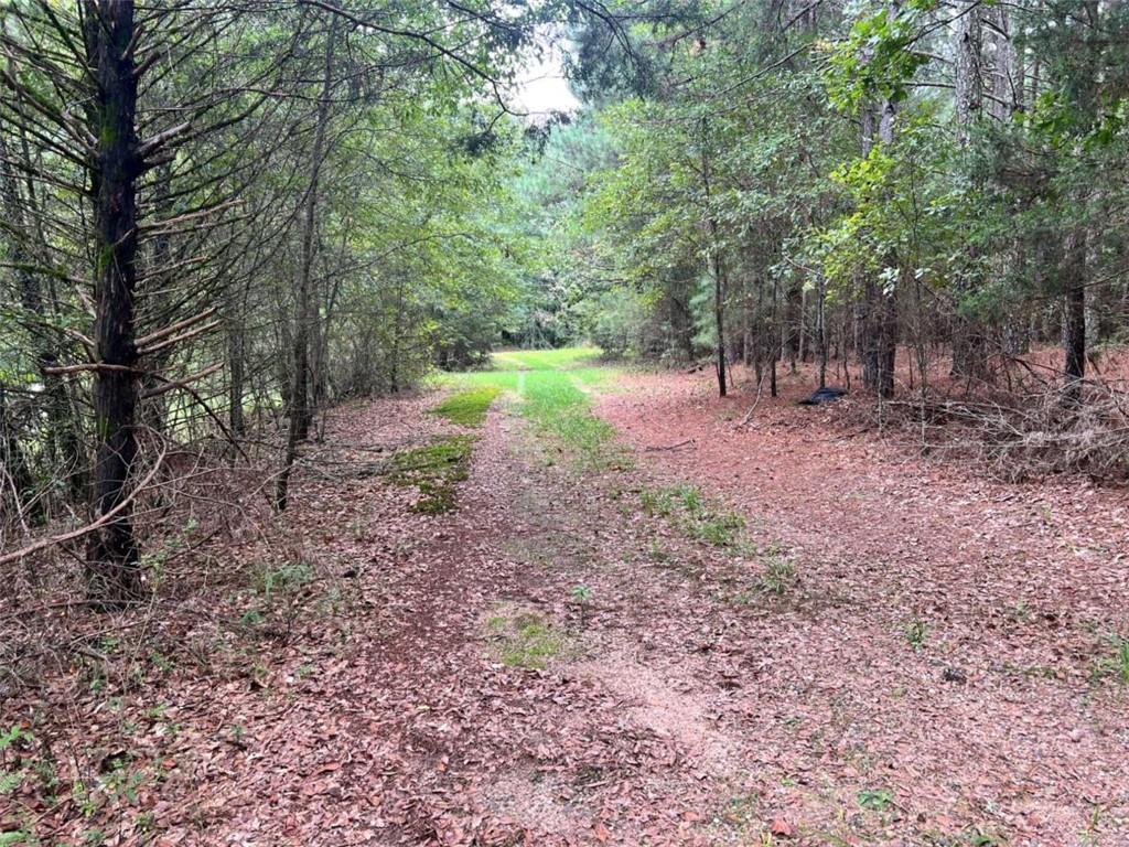 1383 Sims Road Southeast Statham, GA 30666 - Photo 6 of 9 a view of a park with trees in the background