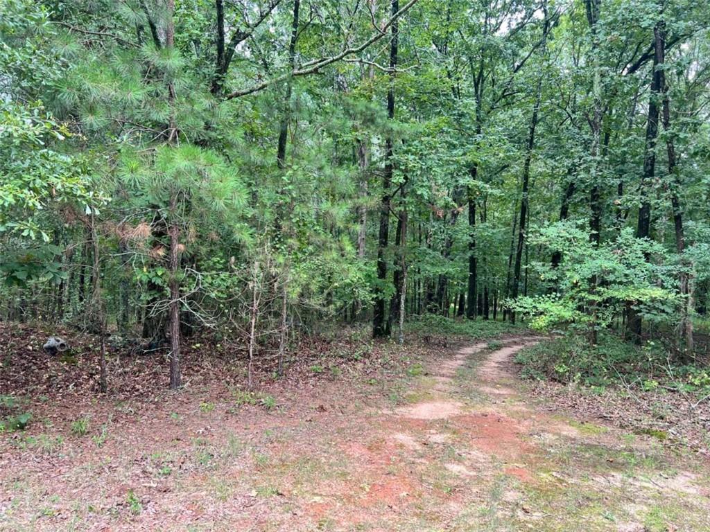 1383 Sims Road Southeast Statham, GA 30666 - Photo 8 of 9 a view of a forest with trees in the background