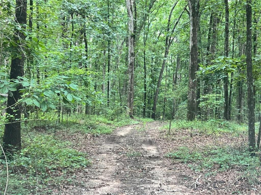 1383 Sims Road Southeast Statham, GA 30666 - Photo 9 of 9 a view of outdoor space and green space