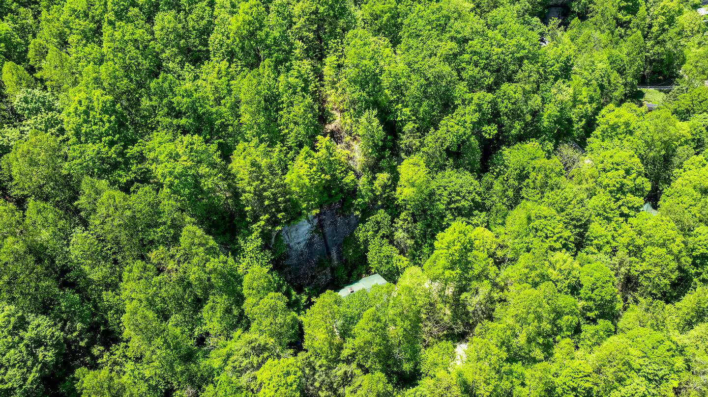 646 Right Fork Fixer Road Zoe, KY 41397 - Photo 33 of 33 drone3